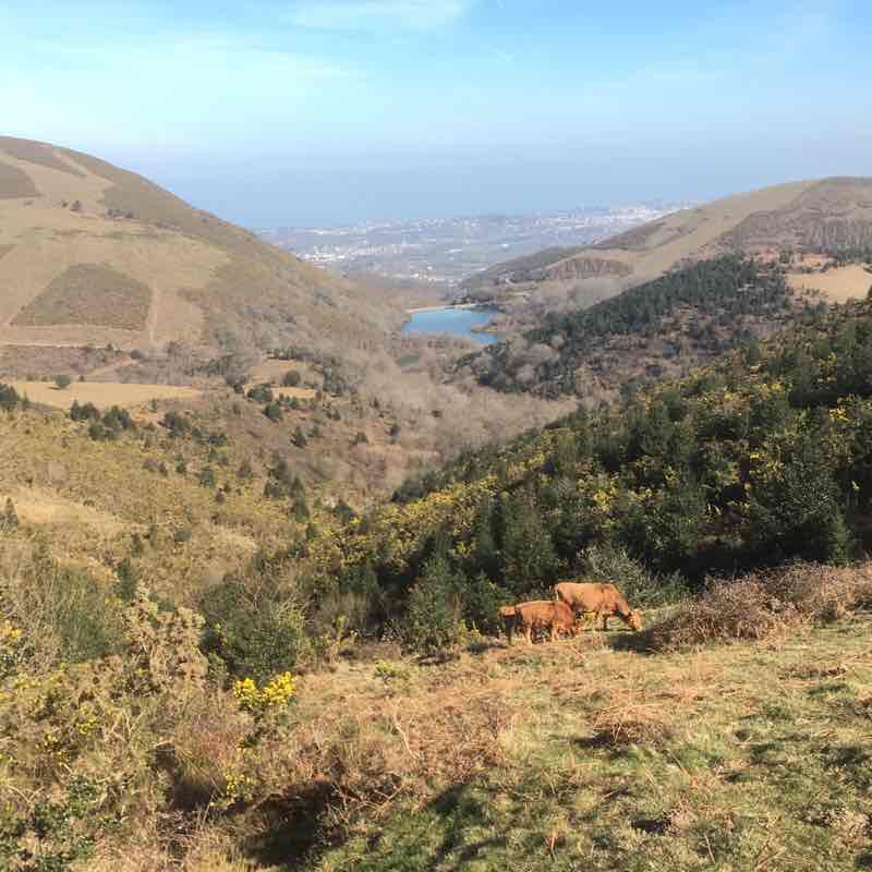 Col d'ibardin by Urrugne walking route map in Urrugne