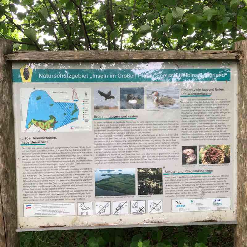 Nice tour through the Holstein Switzerland walking route map in Nehmten