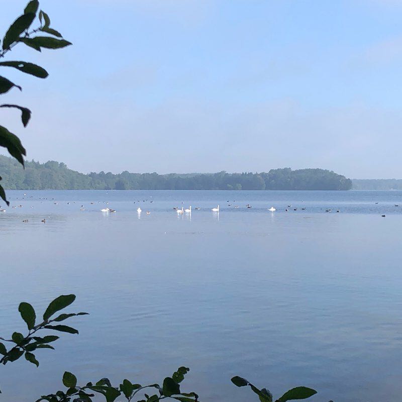 Enjoy relaxation and tranquility in the forest walking route map in Nehmten