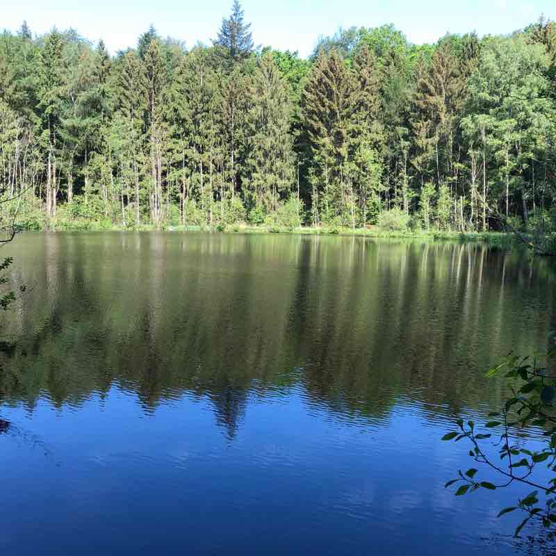 Dersau-Ukleisee Seerunde walking route map in Nehmten