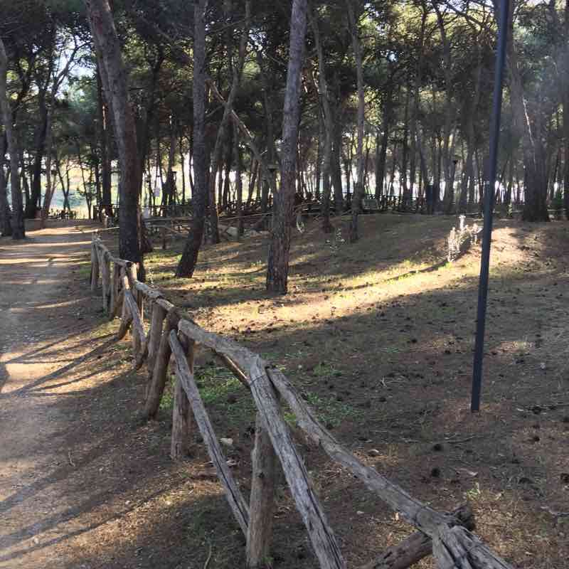 Parco Cimino 