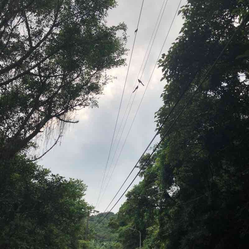 內溝跑步🏃‍♀️