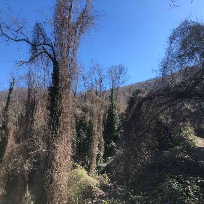 Escursione a punta nasone