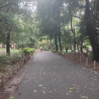 てぃーだ たま post image