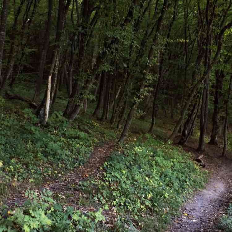 Barvinok walking route map in Novyi Rozdil