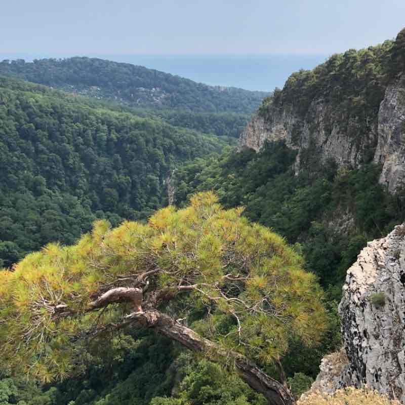 Старая Мацеста - Орлиные скалы