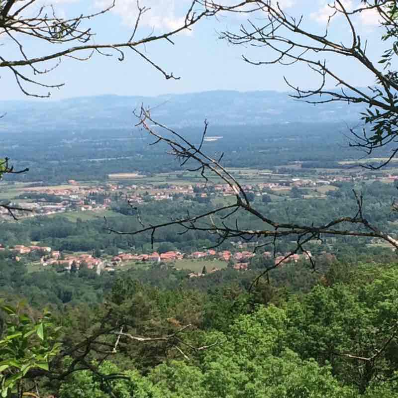 The drill! walking route map in Trelins
