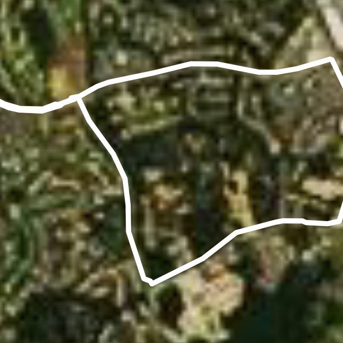 Ballentyne afternoon walk