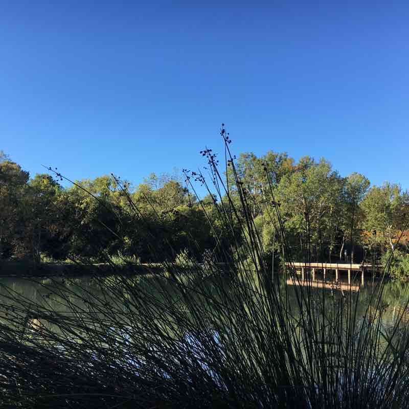 Fontaine Mary Louise Grans walking route map in Grans