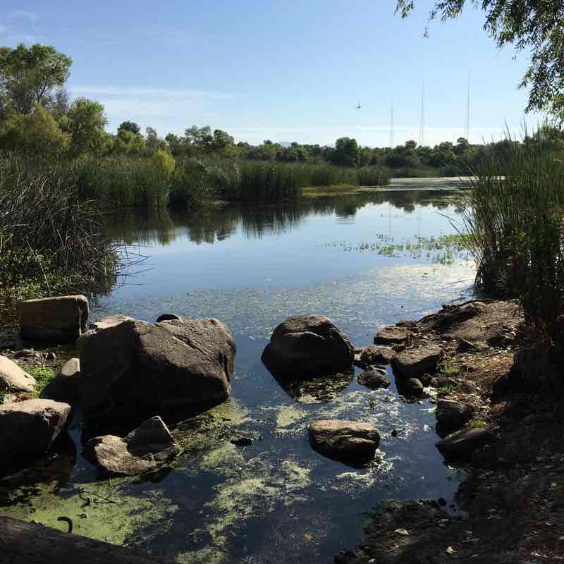 Kumeyaay Lake Trail Walk Santee, California, USA Pacer