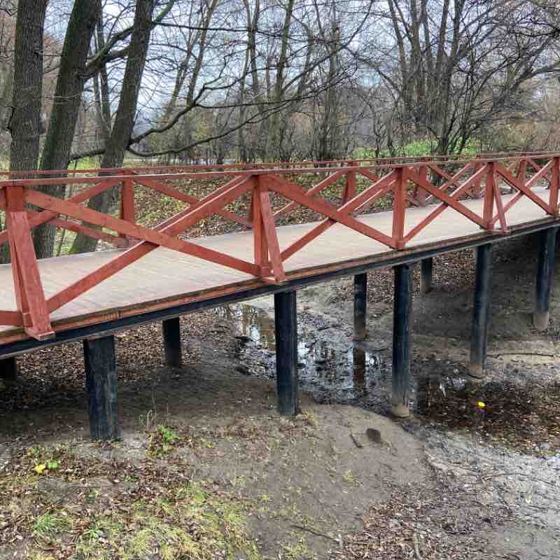 Kuzminki Park Hike - Moscow, Russia | Pacer