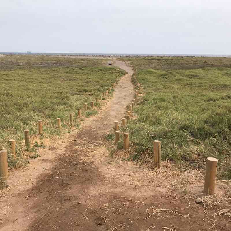 Beach & Wetland walking route map in Arica