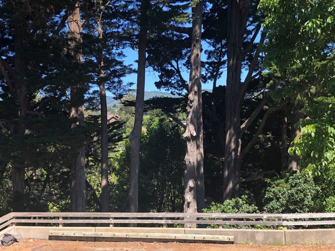 ゴージャスなミルバレーヒルズ 散歩道 カリフォルニア州 米国 Pacer ゴージャスなミルバレーヒルズ 散歩道 カリフォルニア州 米国 Pacer
