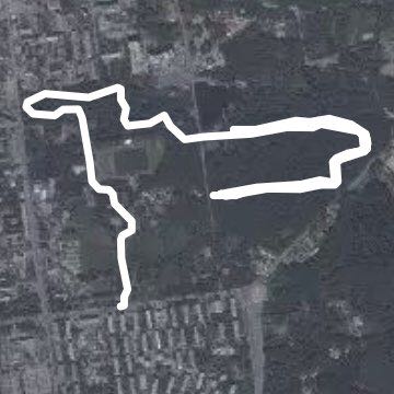 тропа здоровья