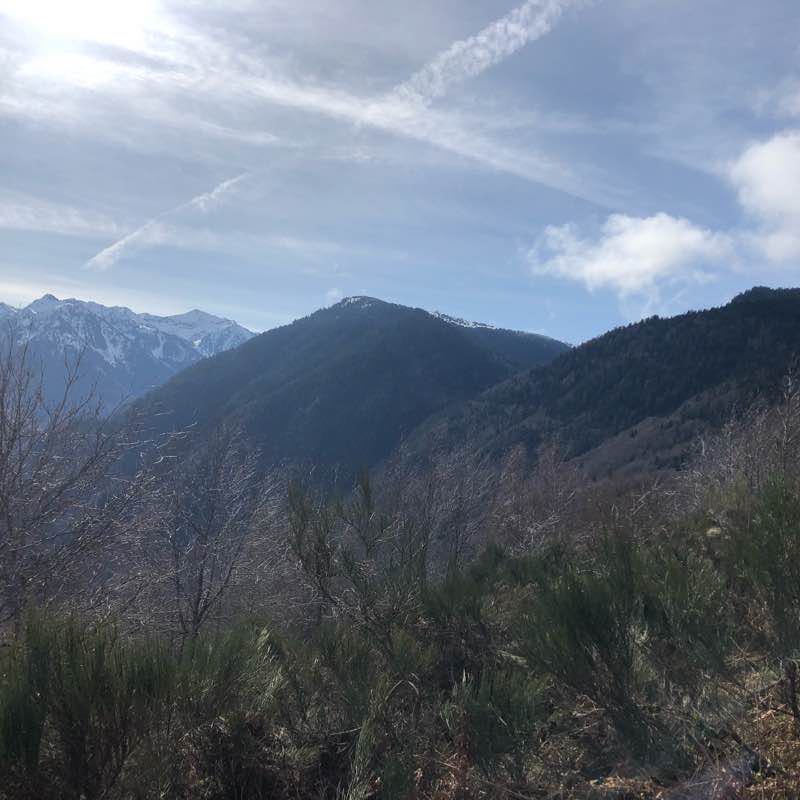 Woodland path of the planes walking route map in Ax-les-Thermes