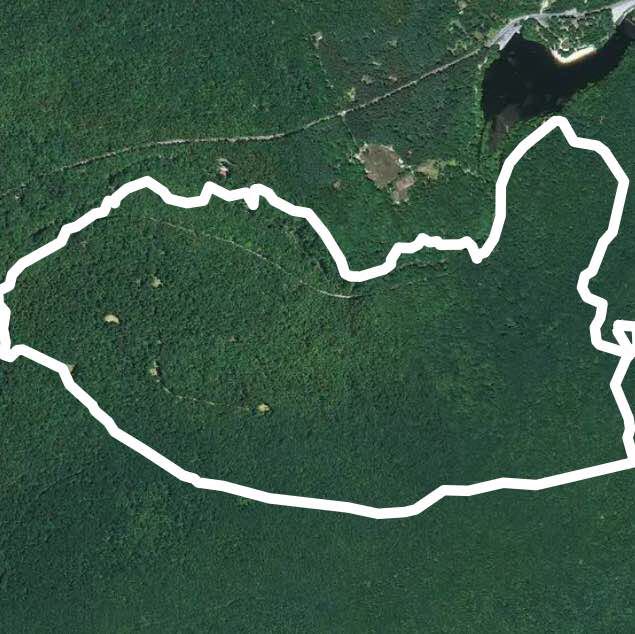 Pole Steeple AT loop trail