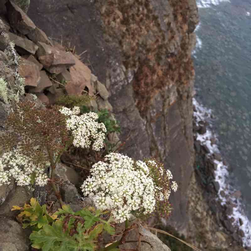 Ходить в Владивосток, Приморский край, Россия