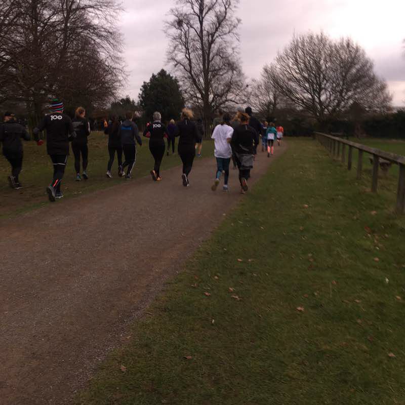Bushy Park  walking route map in Molesey