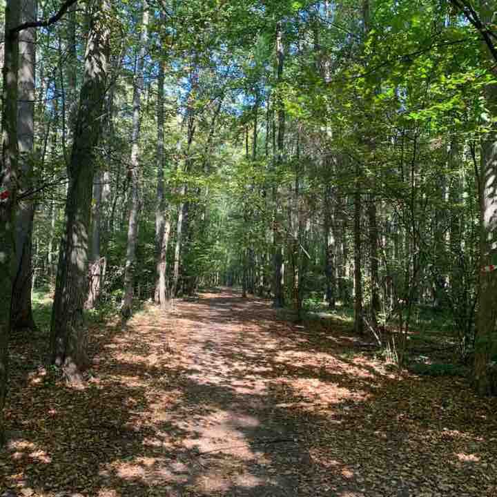 Trinity Grove walking route map in Моква@троицк