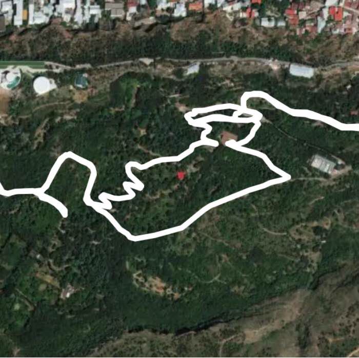 Ботанический сад Тбилиси