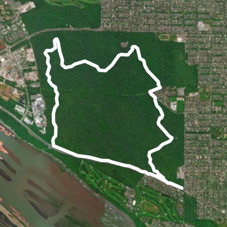 Pacific Spirit South Loop