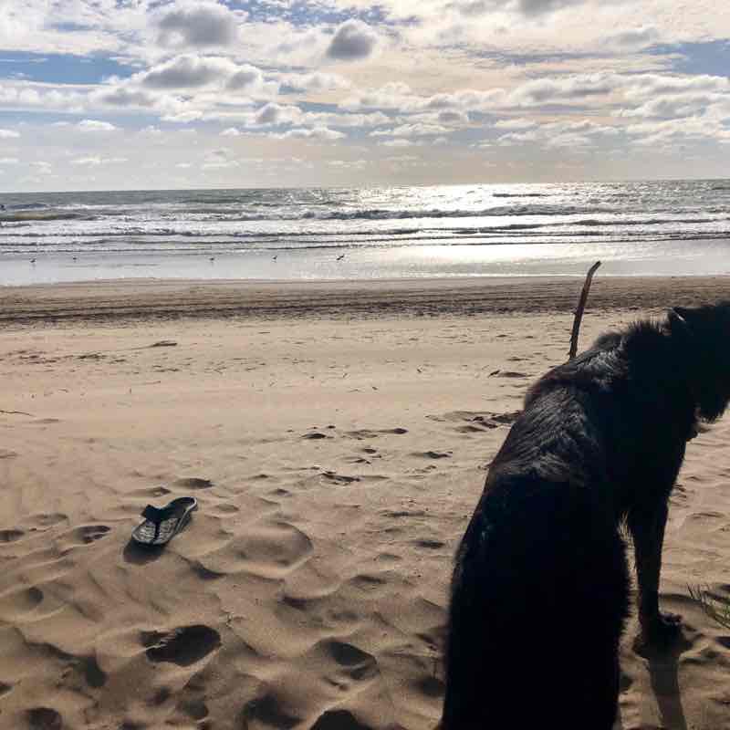 New Atlantis walking route map in Mar de Ajó