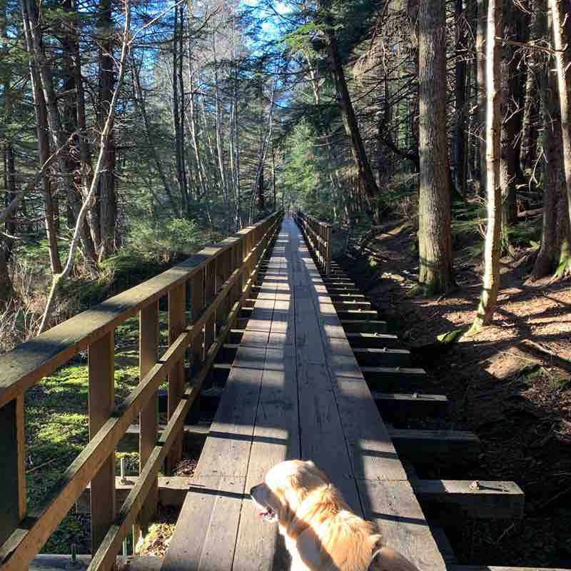 Flume Trail