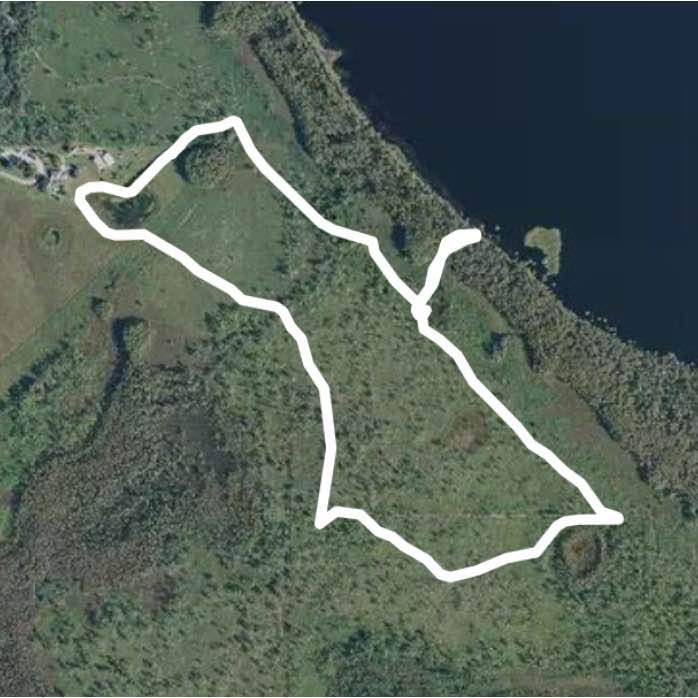 Disney’s Wildlife Preserve long red trail