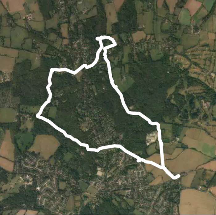 Twitty Fee and Danbury Woods