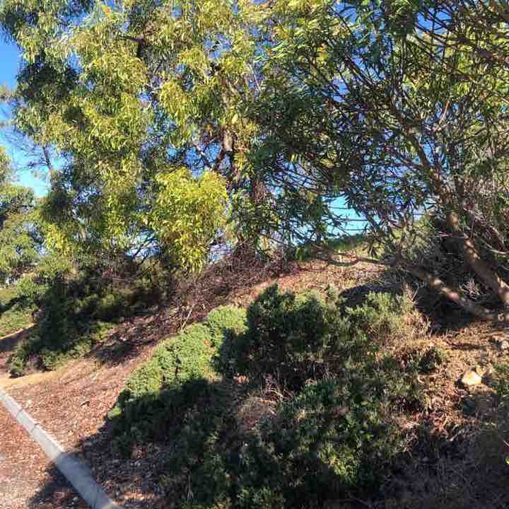 North shore port lincoln SA  walking route map in Port Lincoln