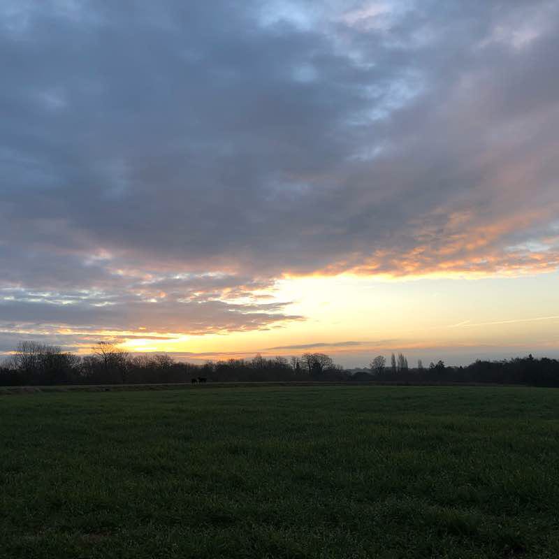 Morning sunrise walking route map in Brandon