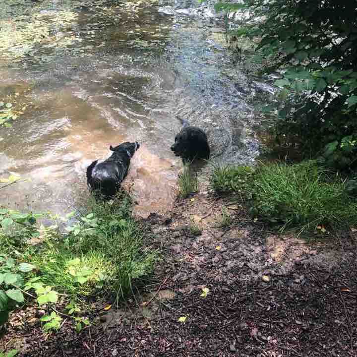 Heat ways walking route map in Brandon