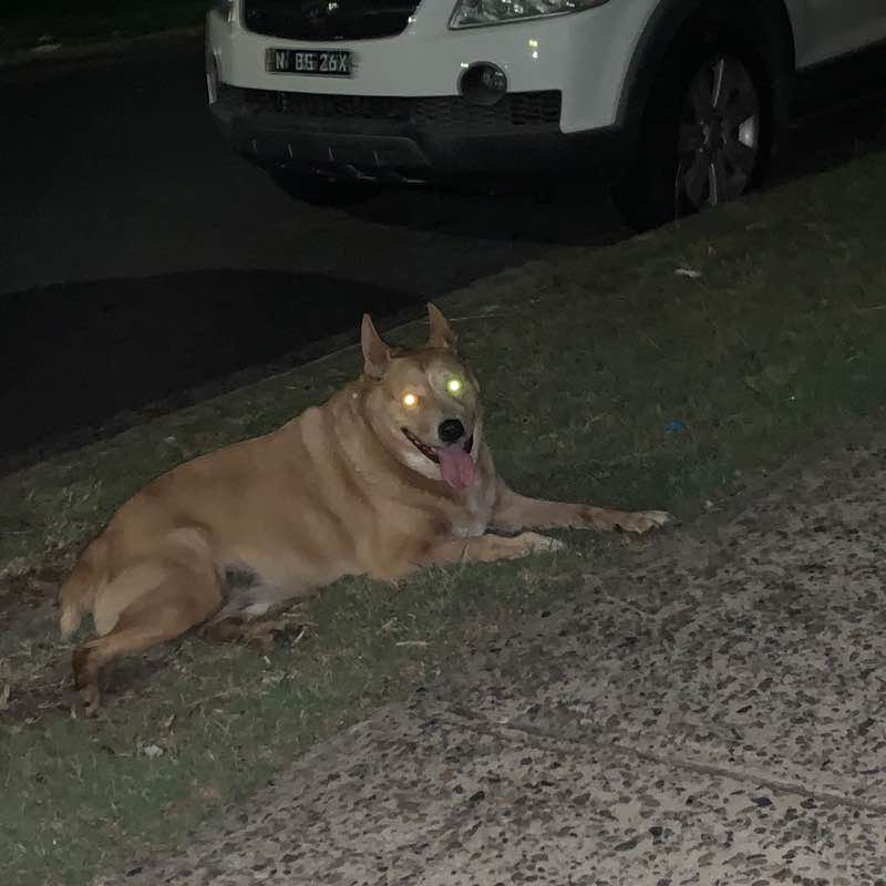 Walk to thr corner shop bus stop 