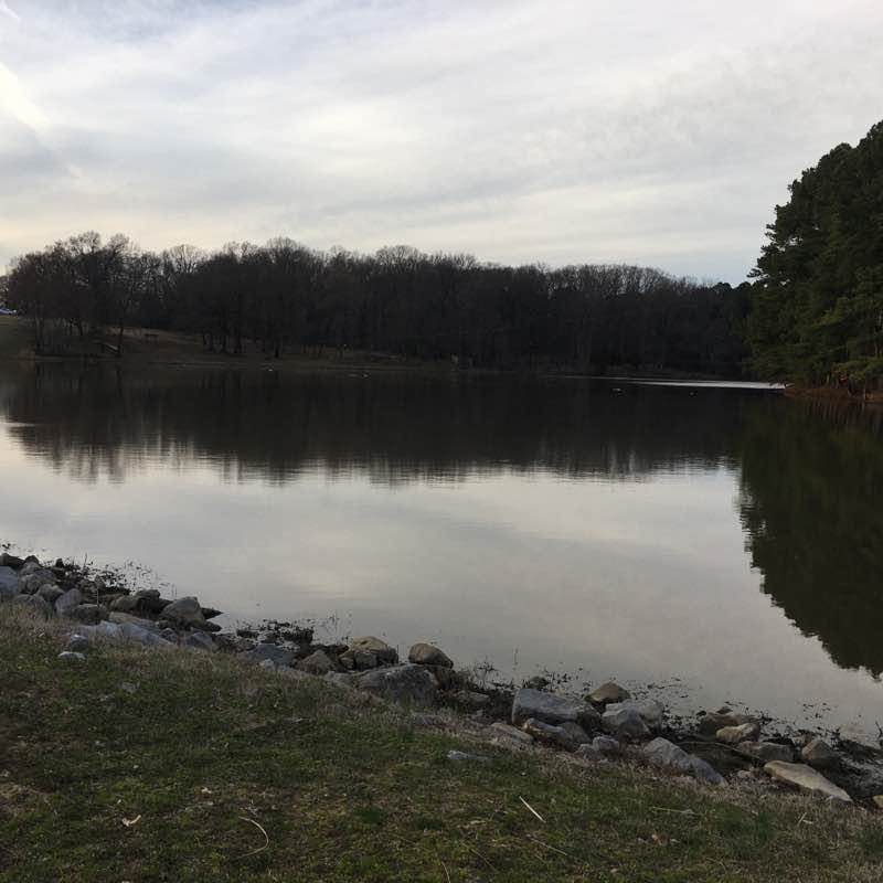 SHELBY FARMS: From the Uplands to the Greenline walking route map in Memphis