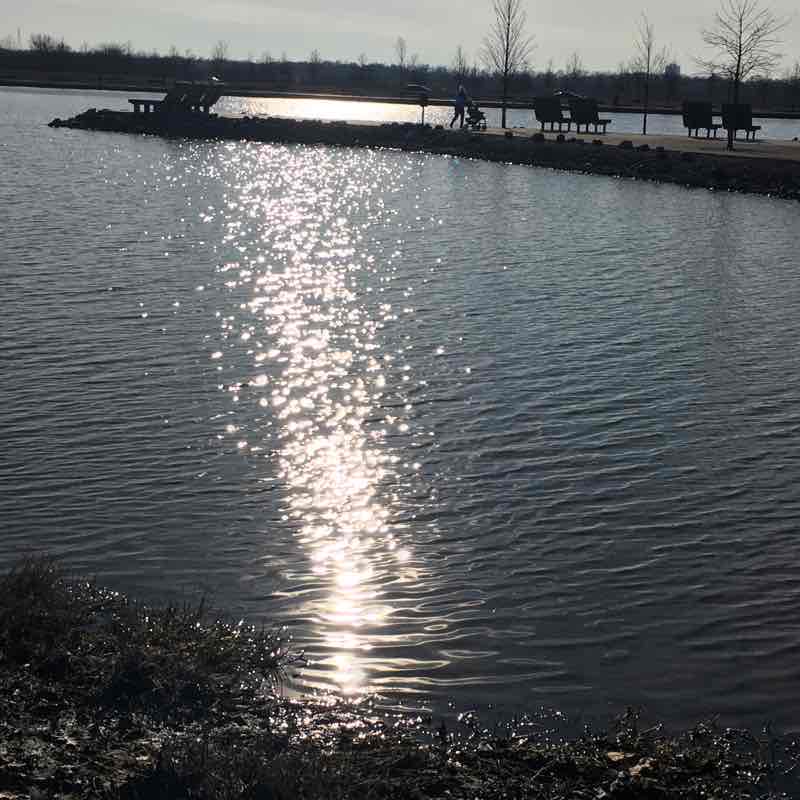 SHELBY FARMS Hyde Lake to the Greenline Walk Trail Memphis