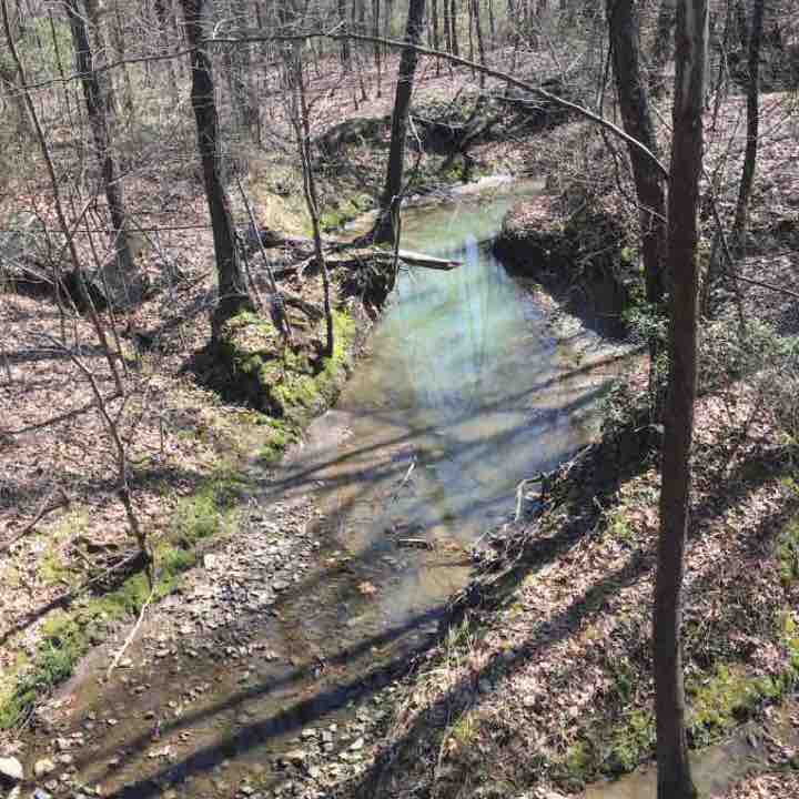 SHELBY FARMS: Greenline Eastbound