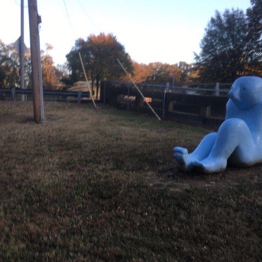 From Crosstown to University (Evergreen-Vollenti)