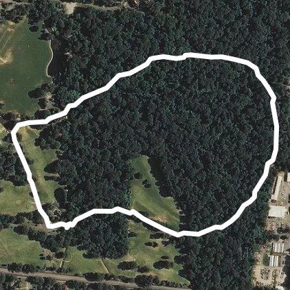 Overton Park Forest Trail