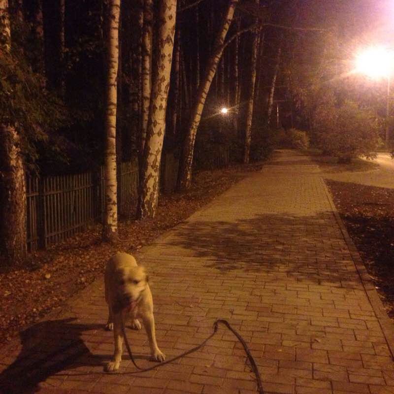 ВЗ Академгородка