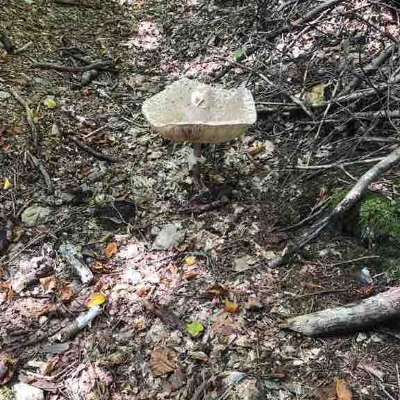 Getting lost on St. Anna walking route map in Maria Wörth