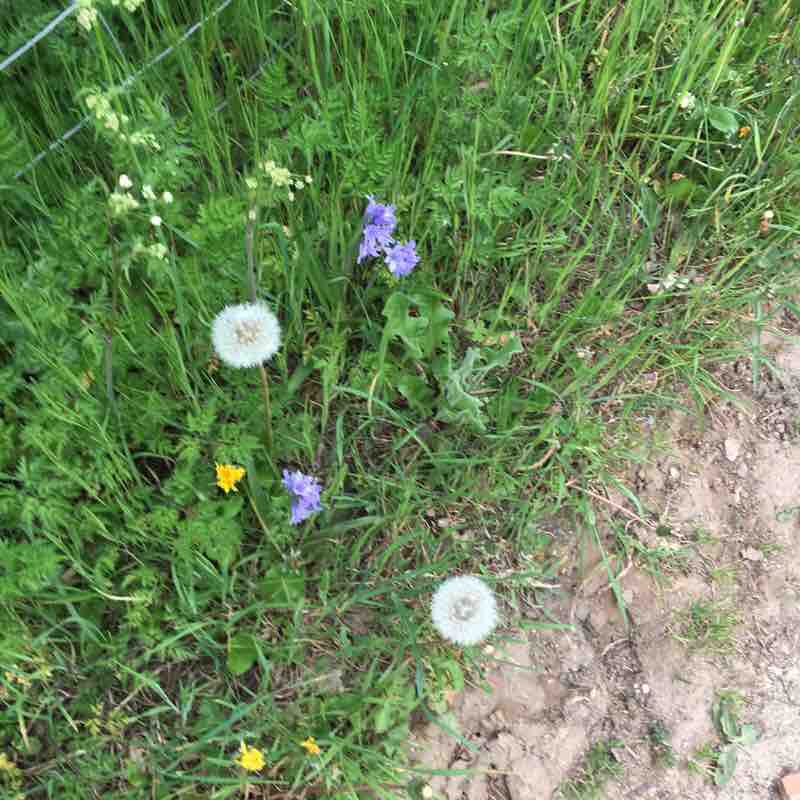 Titchfield  walking route map in Titchfield