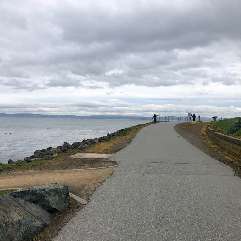 Seal Cove in San Mateo walking route map in Foster City
