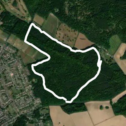 Penn wood walk