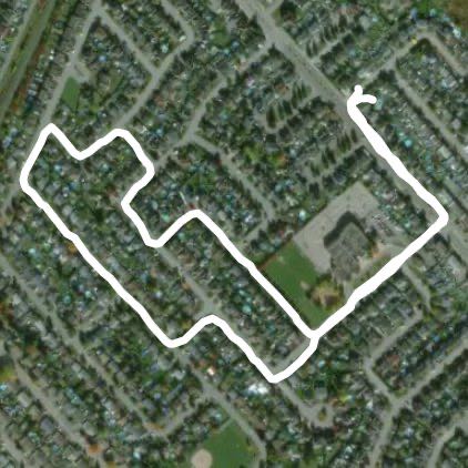 Marche avec Ti minou 🥰❤️