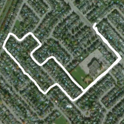 Marche avec Ti minou 🥰❤️