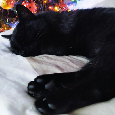 💙💛Viktoriya💙💛 post 3