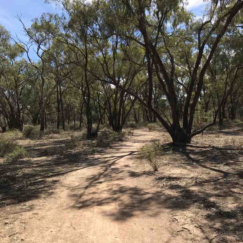 Kings Billabong walking route map in Nichols Point