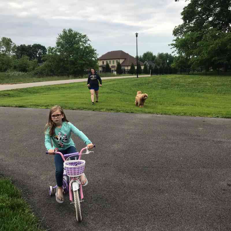 Fairvue Farm walking route map in Alvaton