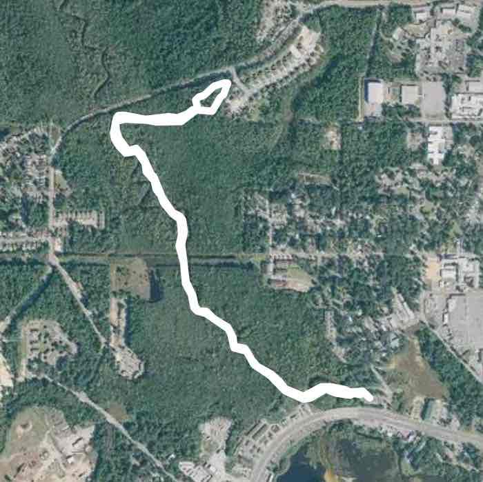 Turkey Creek Niceville FL Walk Trail Florida, USA Pacer