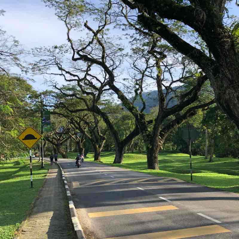 Taiping Lake Park walking route map in Taiping